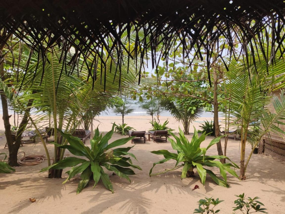 Mariposa Beach Grove Агонда Экстерьер фото